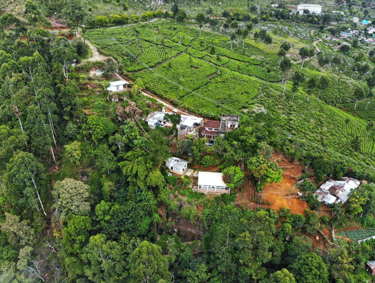 White Monkey Dias Rest Hotell Haputale Exteriör bild